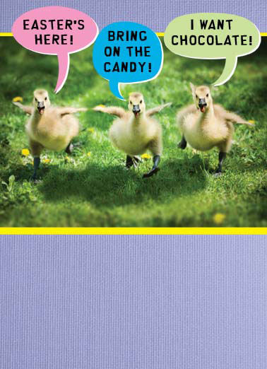Cheep Thrills Funny Easter Card  Three little chicks are excited for easter candy. | chick chicks easter basket candy egg eggs chocolate candy cheep thrills thrill  Hope you get to enjoy a few CHEEP thrills at Easter.
